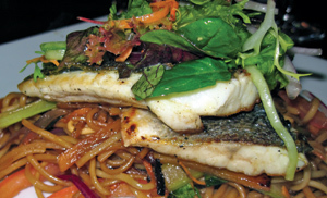 Sea bass and noodles