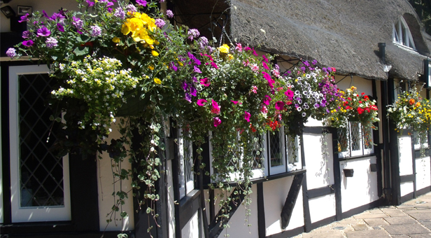 Thatch cottage in East Dorset