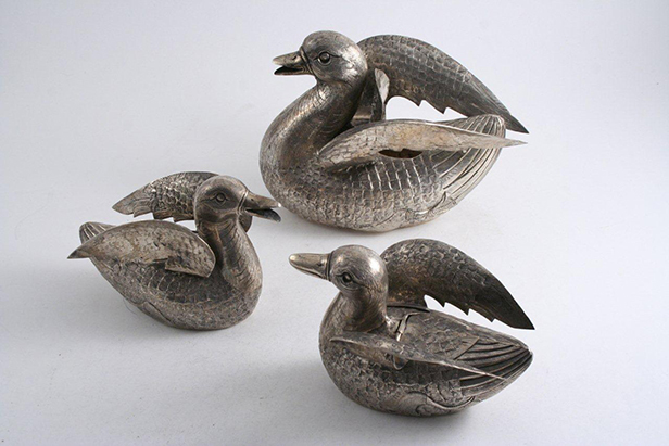 Indian silver ducks