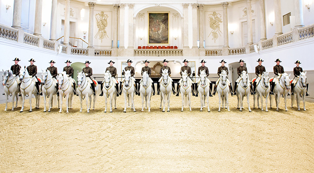 Spanish Riding School of Vienna