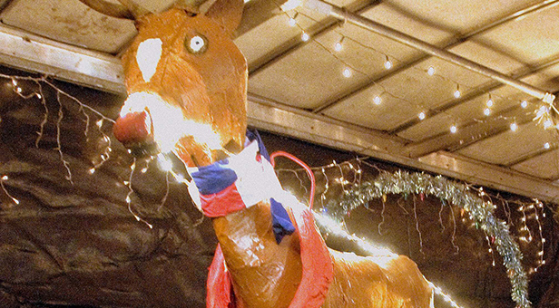 Rudolf the red nose raindeer