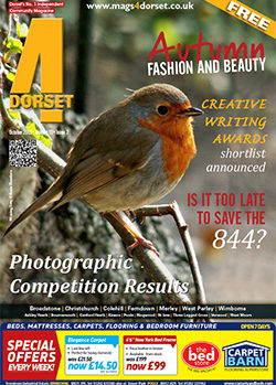 4Dorset October 2013 front cover