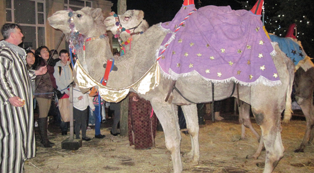 Three wise men ride into town - Dorset View