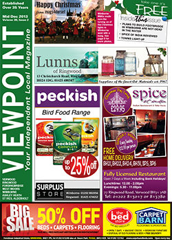 ViewpoinDecember 2013 front cover