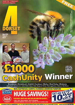 4Dorset March 2014 front cover