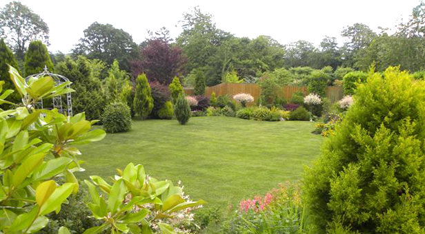 Wimborne-Garden