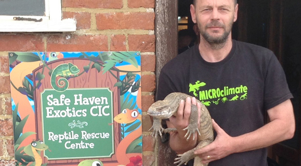 "Safe Haven Exotics Manager Marc Harris pictured at the rescue centre with Pancake, a Bosc's monitor lizard