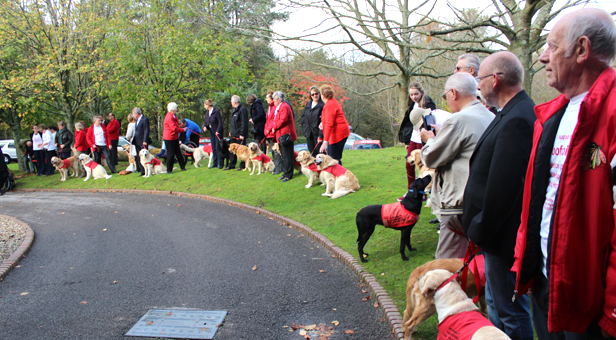 Assistance dogs gather for Jenny Clarke's funeral