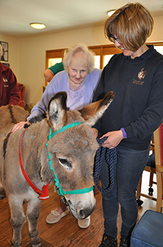 Dementia Awareness Week at Colten Care