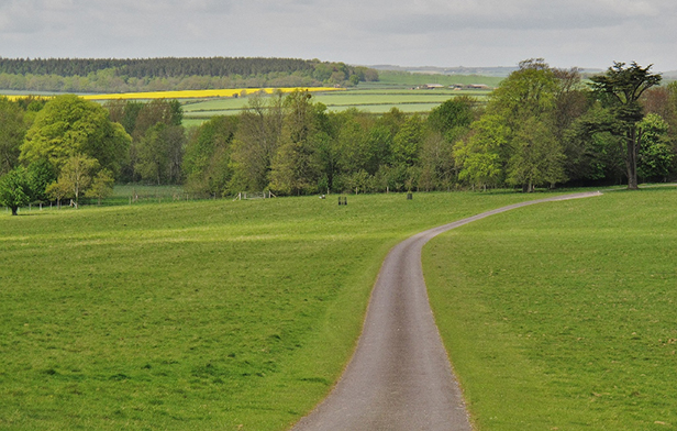 View to Mapperton Solar Farm site