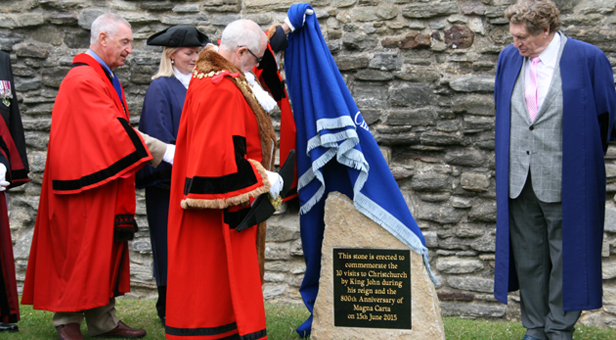 Unveiling-the-Plaque