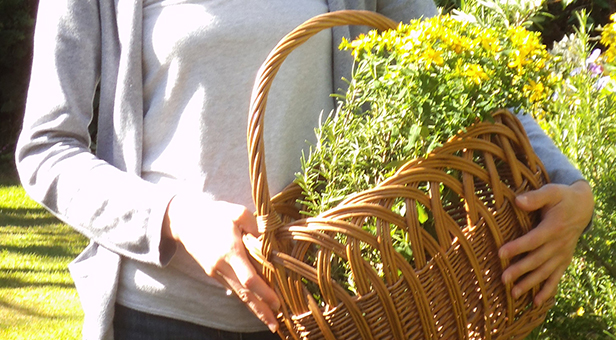 Natural healing herbs