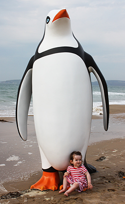 Penguin in Bournemouth