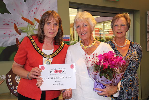 Ferndown in Bloom 2015 tallest sunflower