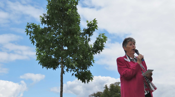  Mrs Mary Fielding, Chairlady of the Bournemouth and Poole National Trust Association, opening the tree planting by the Liquidambar at Kingston Lacy © National Trust