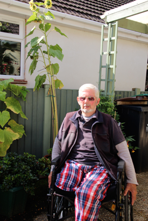 Ron Copp's sunflower reached over 7'