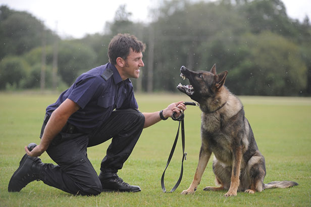 Police dog Acer and PS Andy Wallbridge