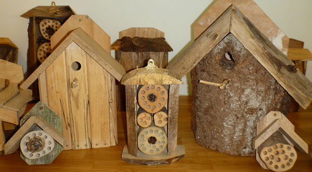 Bird-Boxes