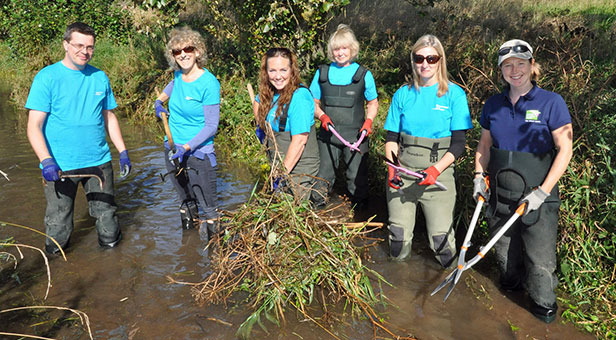 Bournemouth Water help Dorset Wildlife Trust clear the Gussage Stream near Wimborne