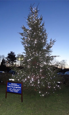 The 2014 Tree of Lights