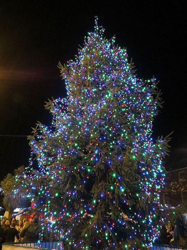 Christmas Tree in Christchurch