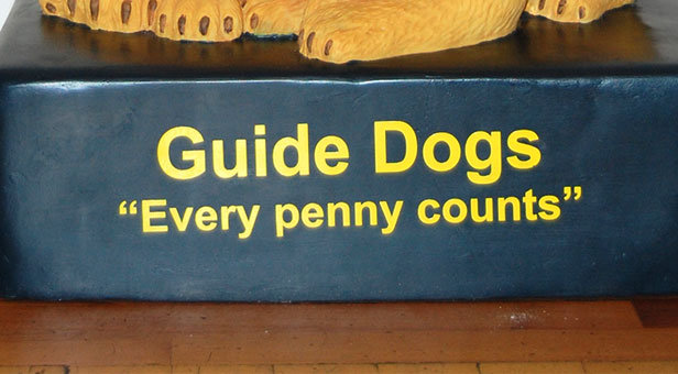 Guide Dogs charity box