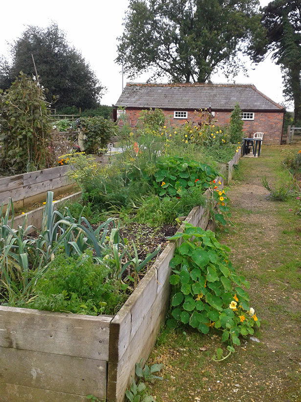 Wimborne Dementia Friendly allotment project