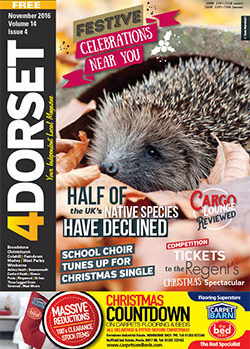 4Dorset November 2016 front cover