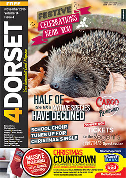 4Dorset November 2016 front cover