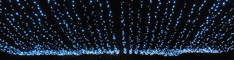 Ceiling of lights in Ferndown