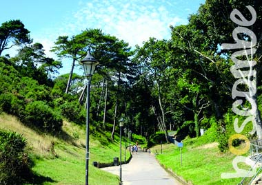 “Boscombe Chine Gardens” by Paul Godier