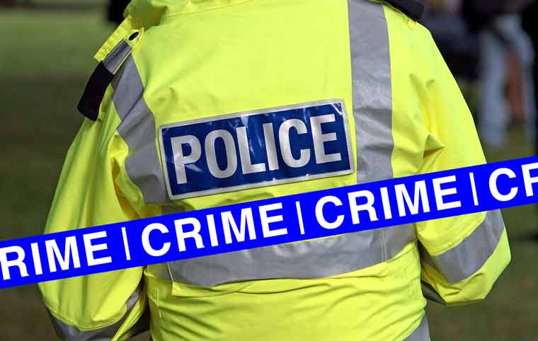 Dorset and Hampshire Crime
