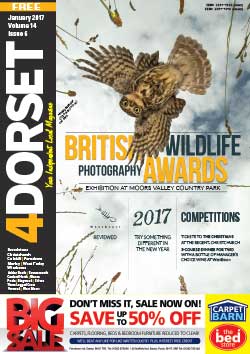 4Dorset magazine front cover January 2017
