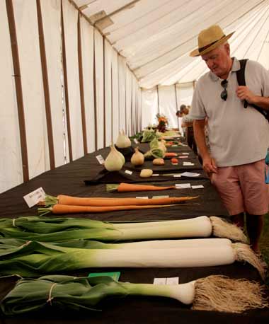 Thousands flock to Dorset County Show