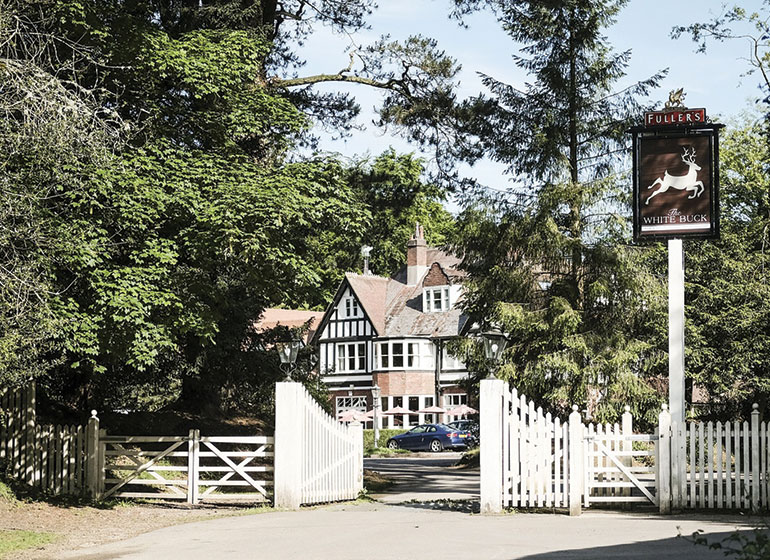 The White Buck Inn