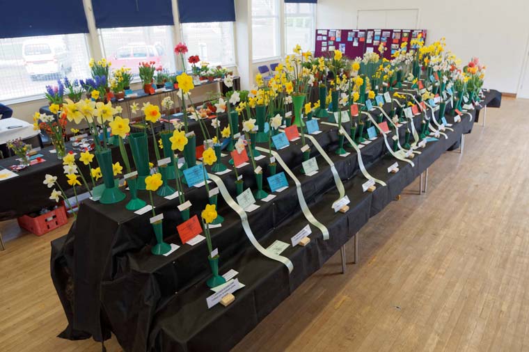 Dorset Agricultural Society to host annual Spring Show