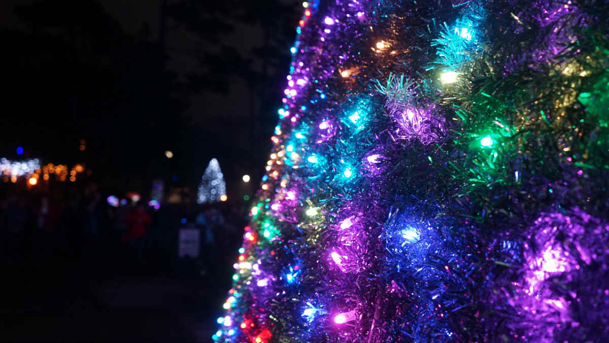 Christmas Tree Competition creating a new tradition in Bournemouth