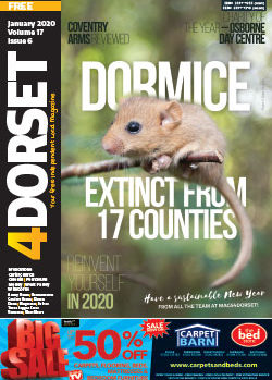 4Dorset January 2020 front cover