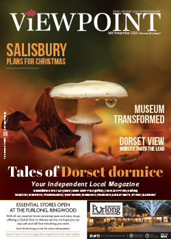 Viewpoint November 2020 front cover