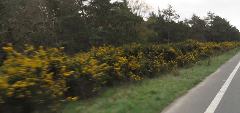 A338 Bournemouth Spur Road after the clean up in March