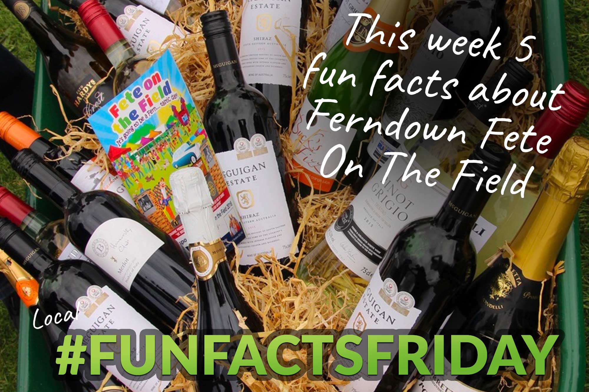 5 Fun Facts About Ferndown Fete On The Field Dorset View