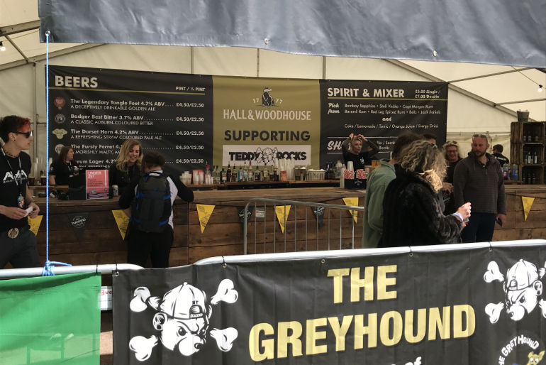 Badger Bar at Teddy Rocks 2019