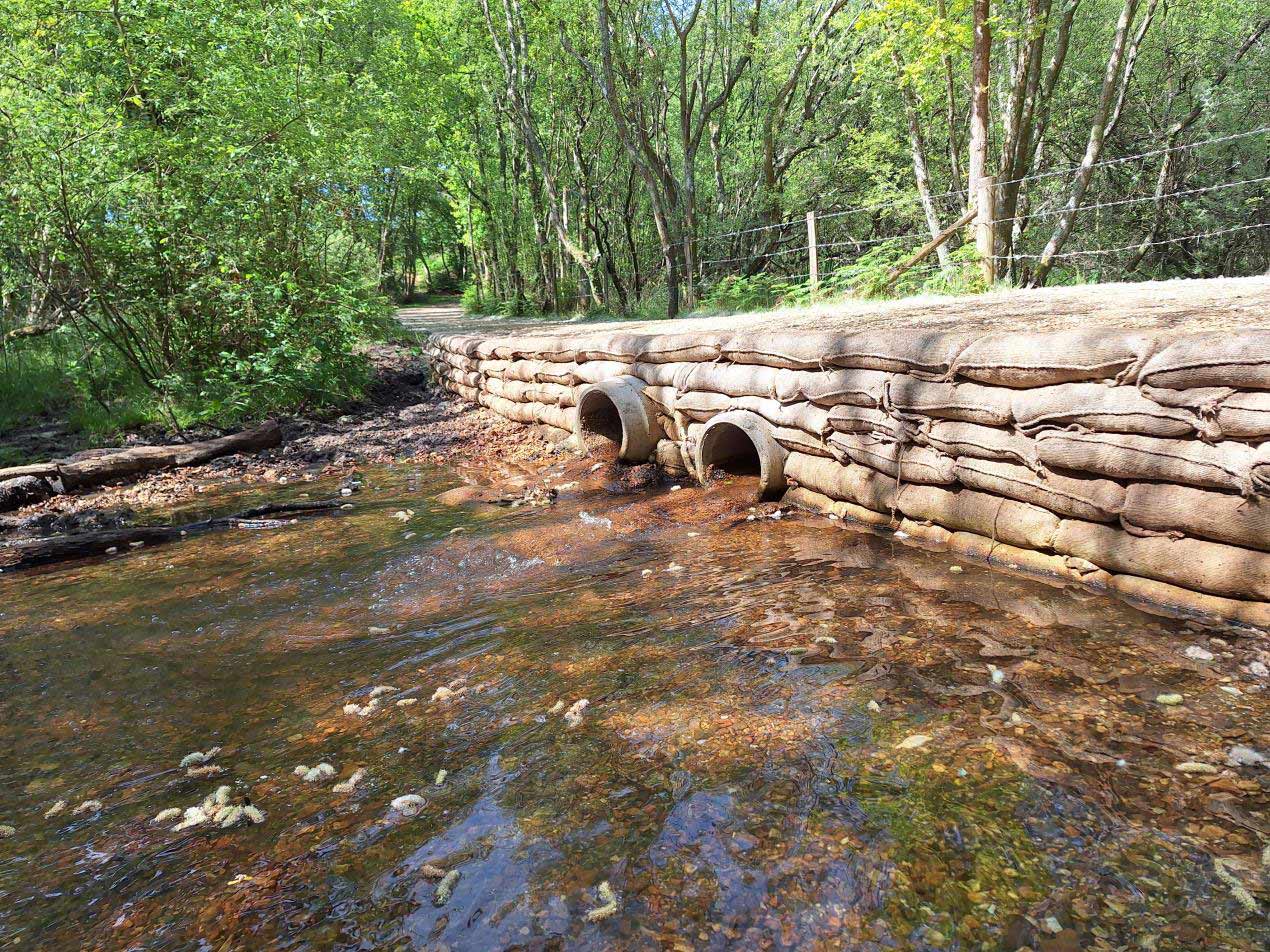Eel pass created by Freshwater Habitats Trust as part of the Species Survival Fund project on a site in the east of the New Forest (credit: New Forest National Park Authority)
