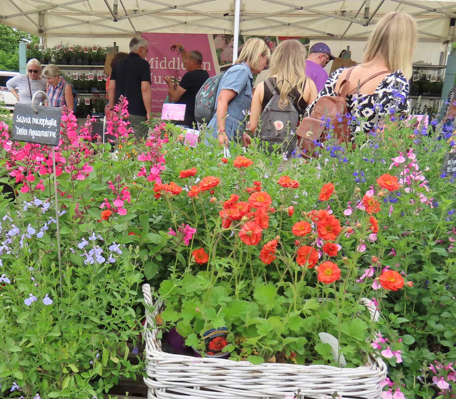 Colour in the sunshine captured at last year’s spring fair © CatchBox 2025