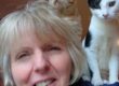 Kate Bevan with kittens Rex and Remy - credit Cats Protection