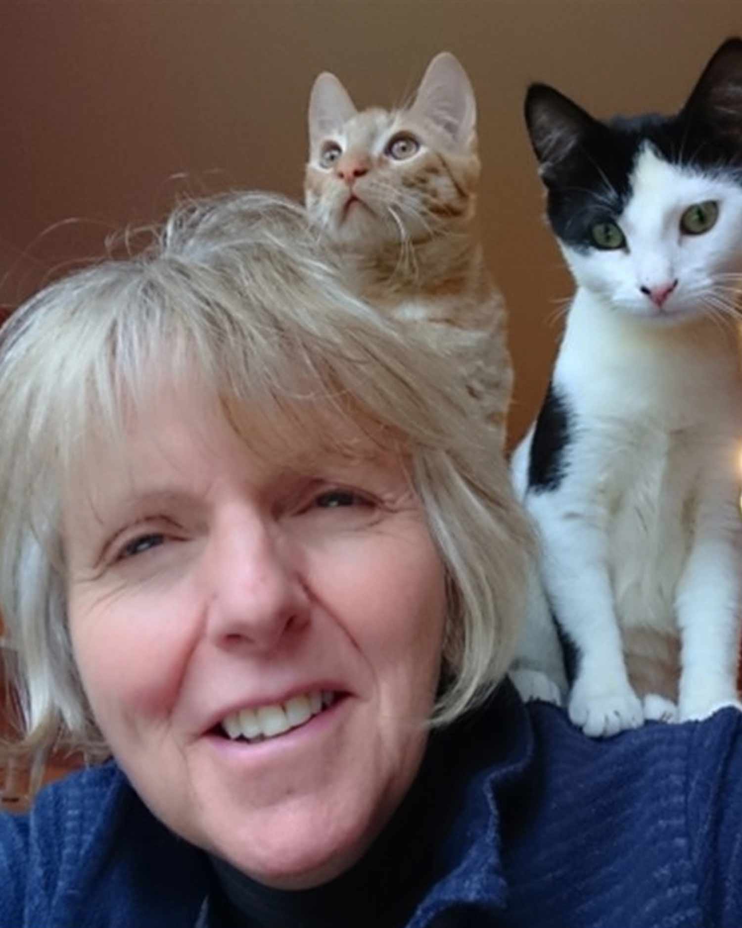 Kate Bevan with kittens Rex and Remy - credit Cats Protection