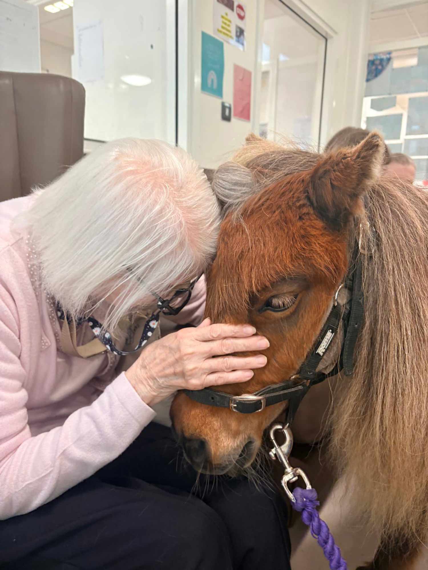A patient with Mr Kelloggs