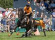 Horseboarding will take place in the main ring at this year’s Gillingham & Shaftesbury Show
