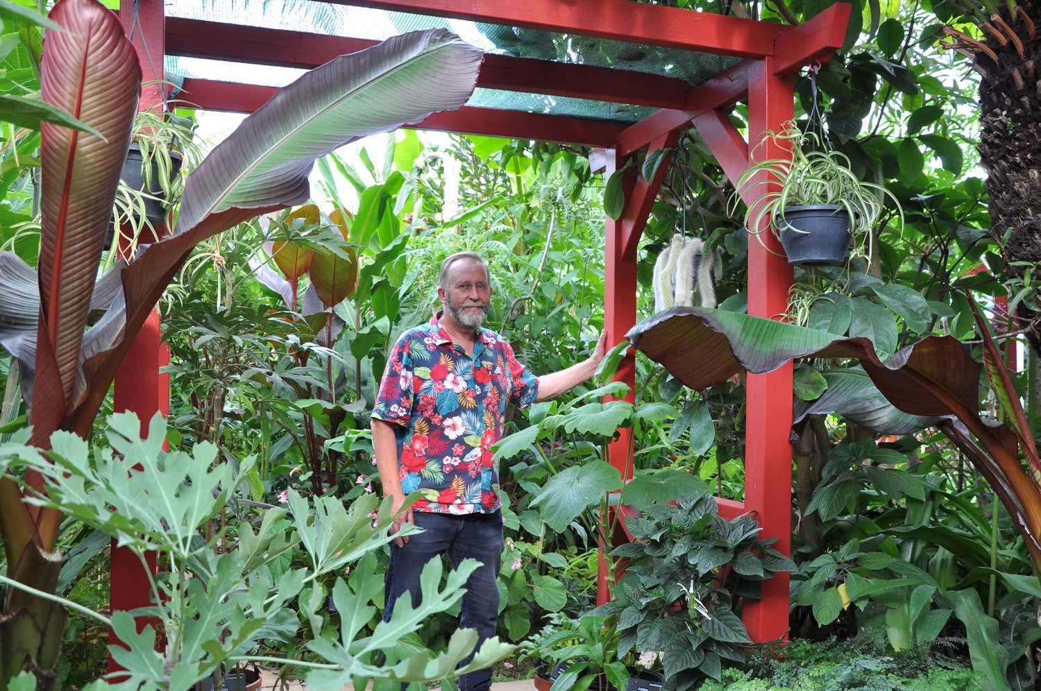 Mike in his tropical garden