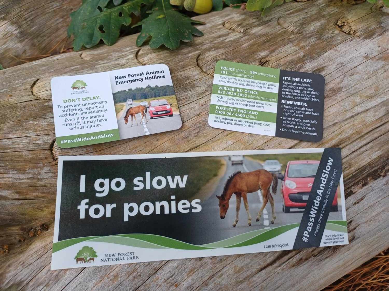 Credit: New Forest National Park Authority